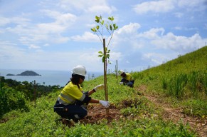 Kinerja Lingkungan Meningkat, PT Merdeka Cooper Gold Reklamasi Lahan Seluas 100.95 Ha