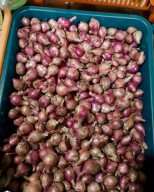 Bawang Merah di Surabaya Masih Mahal