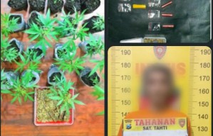 Polres Malang Tangkap Bandar Sabu Pemilik Kebun Ganja di Tumpang