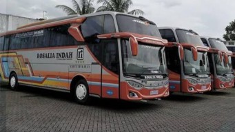 Bus ROSALIA INDAH Trending