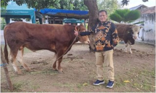 Pegadaian Kantor Deputy Bisnis Area Probolinggo Sembelih 2 Sapi dan 1 Kambing