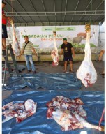 Pegadaian Deputy Area Bisnis Jember Sembelih 1 Sapi Dan 3 Kambing