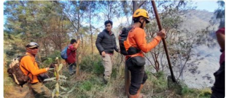 Gunung Bromo Terbakar, Petugas Gabungan Dikerahkan