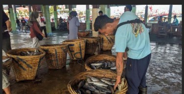 Nelayan Trenggalek Minta Pemerintah Setop Impor Surimi
