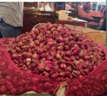 Harga Panen Anjlok, Petani Bawang Merah Magetan Menjerit