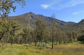 Dua Jalur Pendakian Gunung Arjuno-Welirang Uji Coba Dibuka Hari Ini