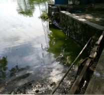 Soal Ikan Mati di Waduk SIER, Pemkot Surabaya Turun Tangan Lakukan Uji Laboratorium
