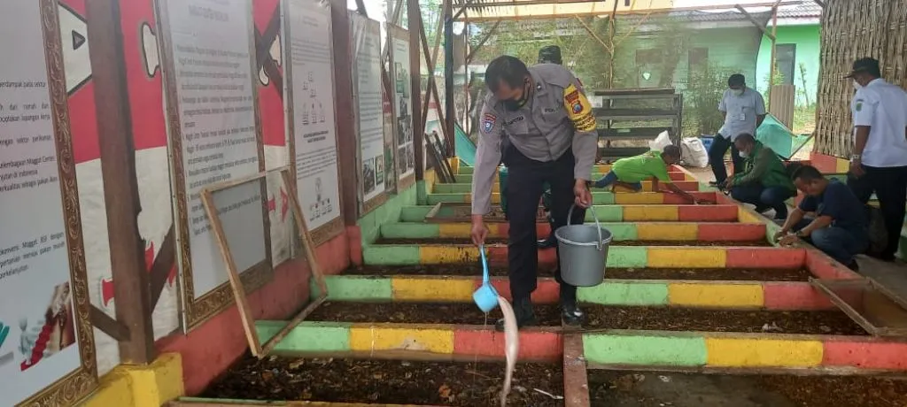 Budidaya Maggot Hasilkan Finansial Melimpah