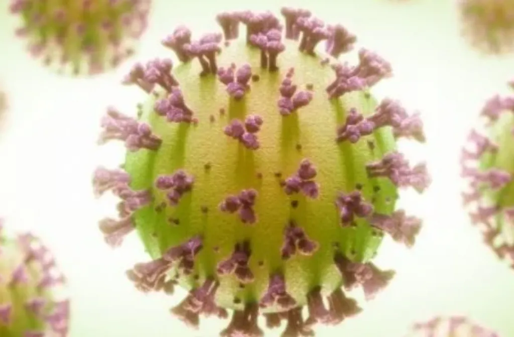 Selandia Baru Resmi Nyatakan Herd Immunity