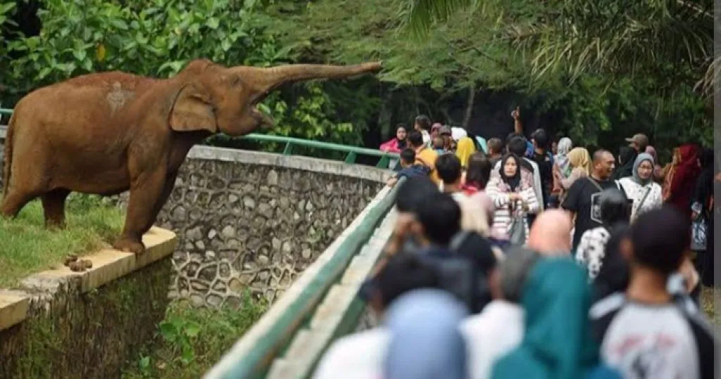 Situasi Keramaian Ragunan
