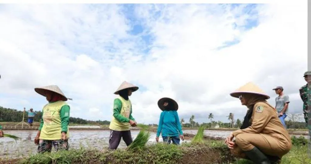 Petani Banyuwangi Sukses Terapkan Pertanian Terpadu