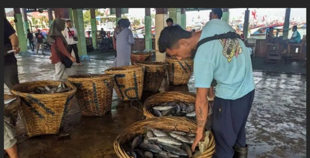 Nelayan Trenggalek Minta Pemerintah Setop Impor Surimi