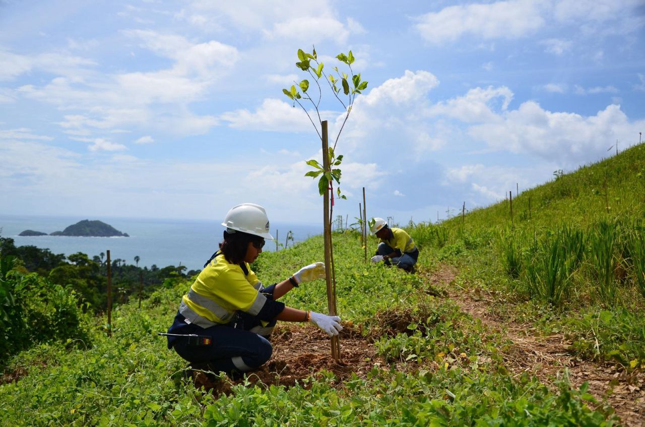 Penanaman bibit pohon di kawasan tambang Tujuh Bukit, Banyuwangi, Jawa Timur