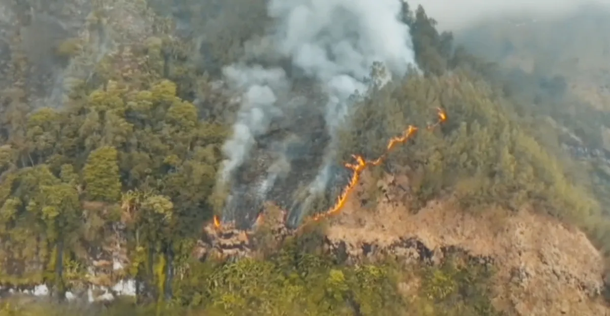 Kebakaran Gunung Wilis Nganjuk, BMKG Deteksi 46 Titik Panas