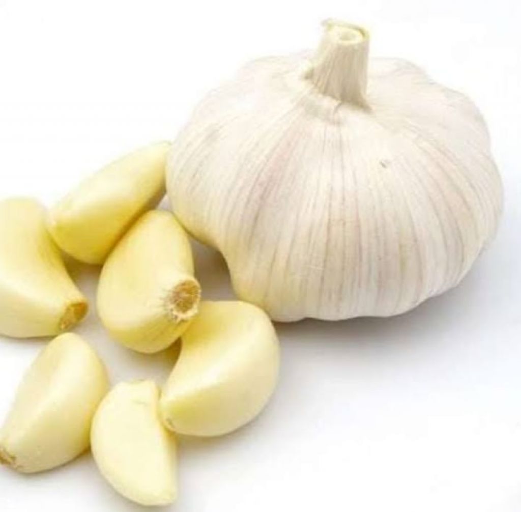 Bawang Putih