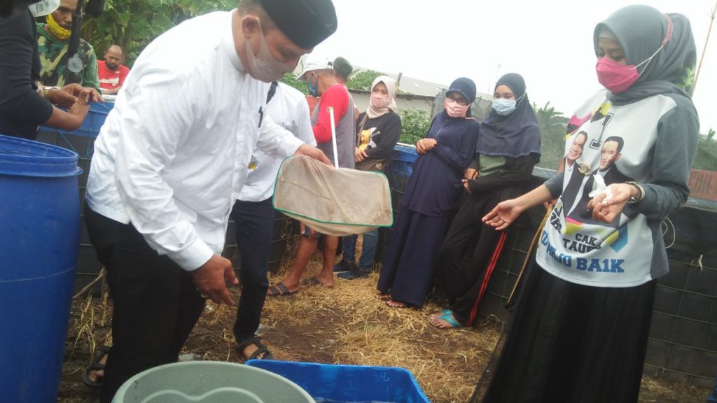 BHS Bersama Warga Ikut Panen Raya di Tambak