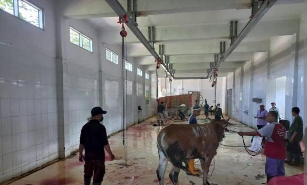 Dinas pertanian dan pangan (dispertan) Banyuwangi menyiapkan ratusan juru penyembelih atau jagal hewan kurban