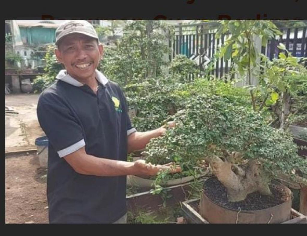 Dari Hobi Bisa Jadi Cuan, Samsudin Memanfaatkan Lahan Kosong Budi Daya Bonsai