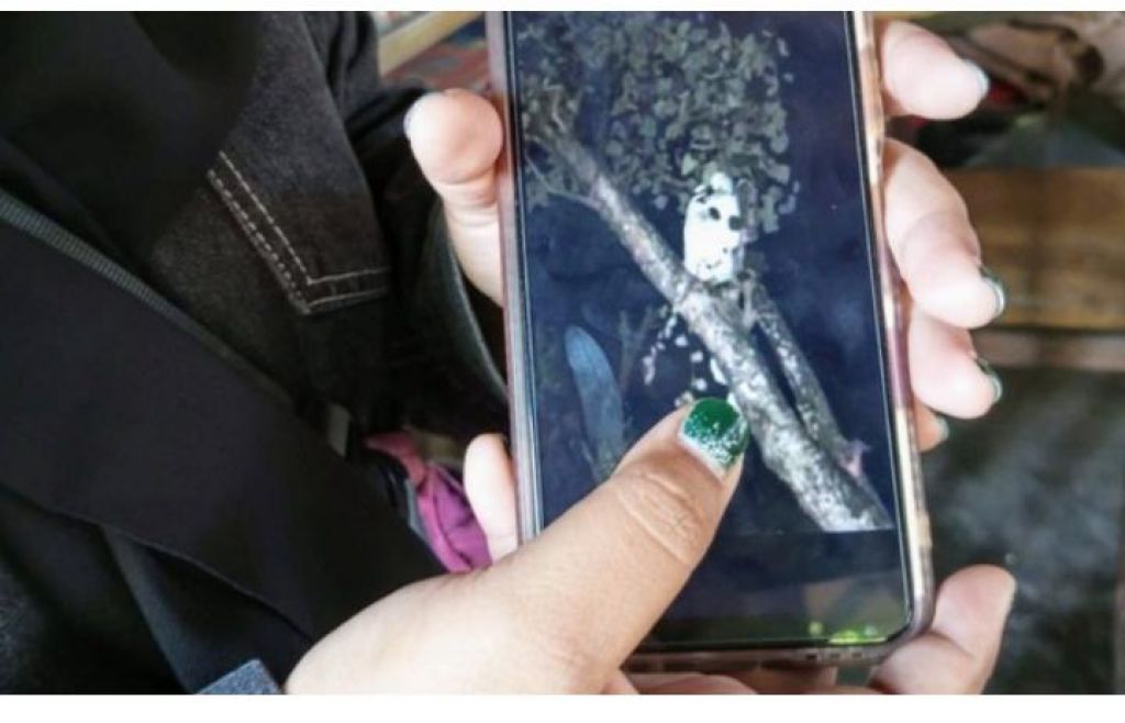 Foto penampakan pocong di pohon