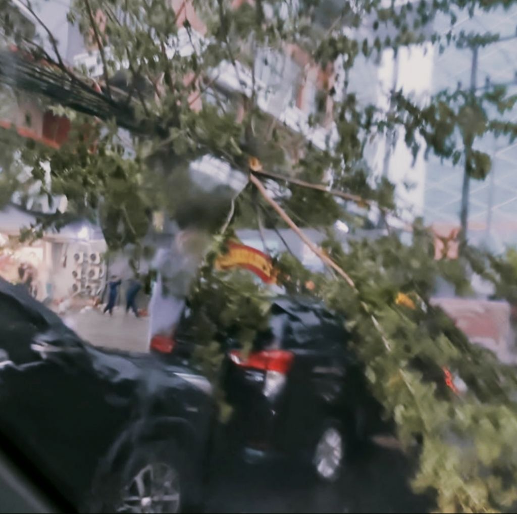 Pohon tumbang menimpa mobil di depan Sumi Hotel.