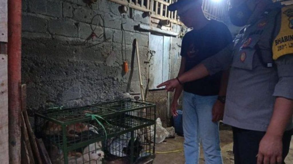 Petugas mengamankan belasan anjing dari rumah penjagalan anjing, di Kecamatan Selorejo.