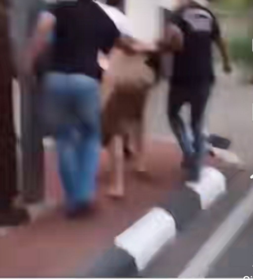 DPO yang tertangkap sedang digelandang polisi