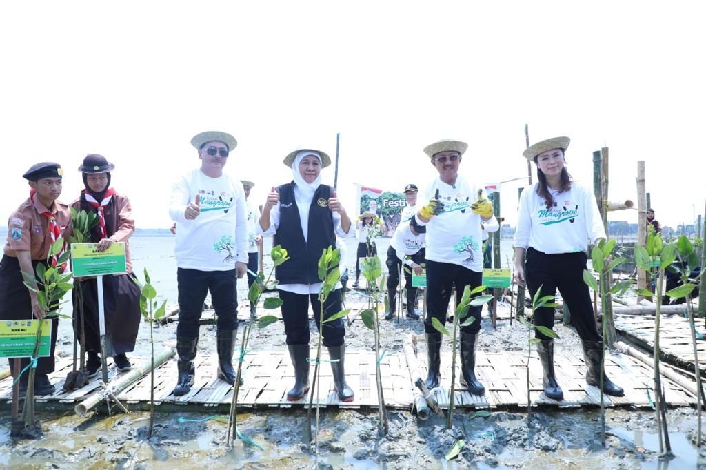 Gubernur Jatim Khofifah Indar Parawansa bersama seluruh stakeholder menanam10 ribu bibit mangrove dan menyerahkan 1.000 batang tanaman Cemara udang kepada pengelola lokasi.