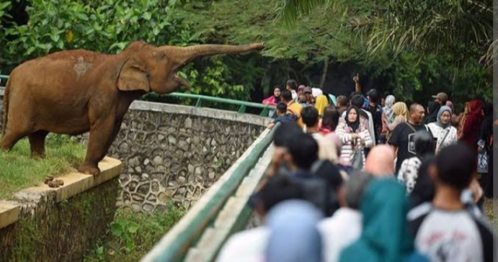 Macet 1,5 Jam, Warga Cukup Kecewa Saat Liburan ke Ragunan