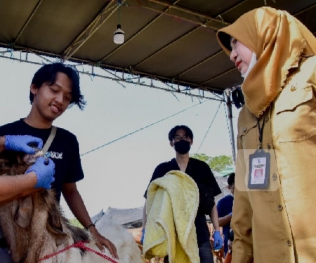Foto : Kepala Dinas Ketahanan Pangan dan Pertanian (DKPP) Kota Surabaya, Antiek Sugiharti, memastikan setiap hewan kurban yang diperdagangkan harus memenuhi persyaratan kesehatan dan memiliki izin resmi.