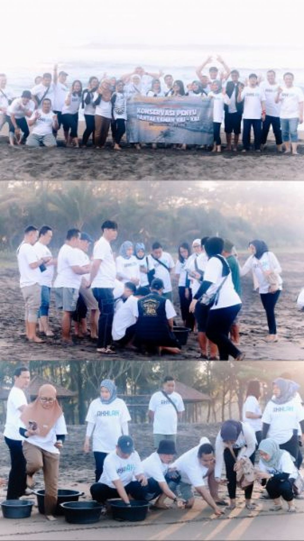 PT Pegadaian Kantor Wilayah XII Surabaya memberikan bantuan tempat penetasan telur penyu kepada Konservasi Penyu di Pantai Taman Kili-Kili, Desa Wonocoyo, Kecamatan Panggul, Kabupaten Trenggalek, Jumat (19/07/24).